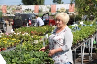 Съёмка новостей из Садового центра