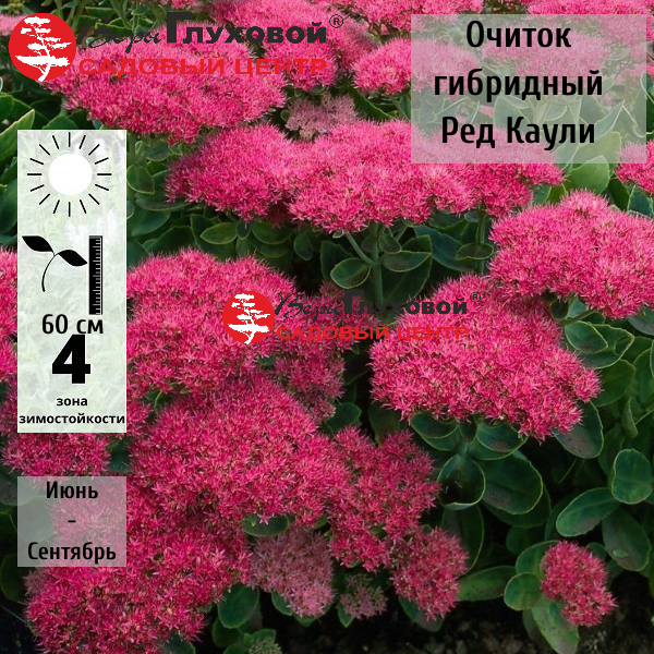 Основное изображение товара