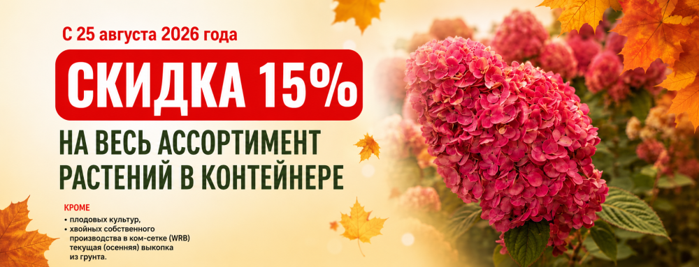 Осенние скидки!