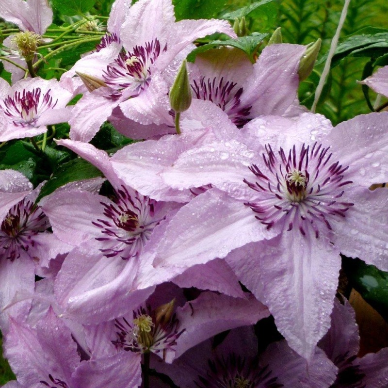 Основное изображение товара