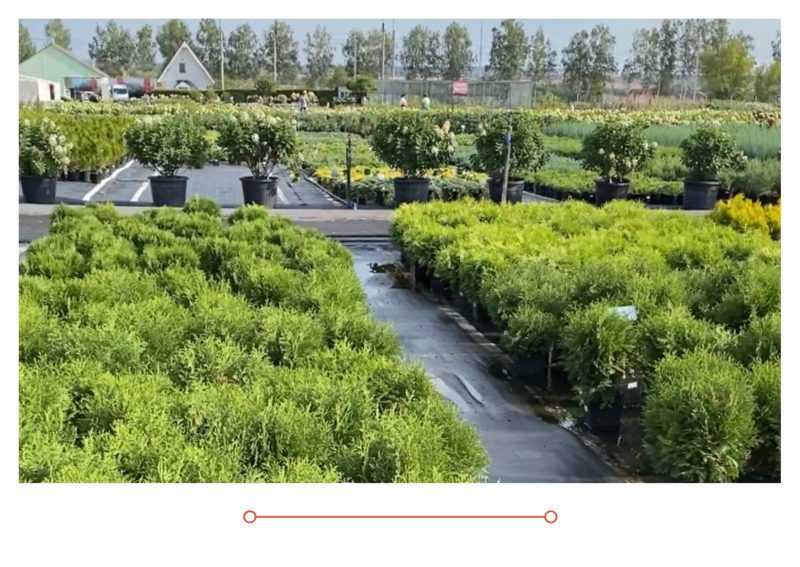 Россия 1 новый выпуск от 25.08.2021