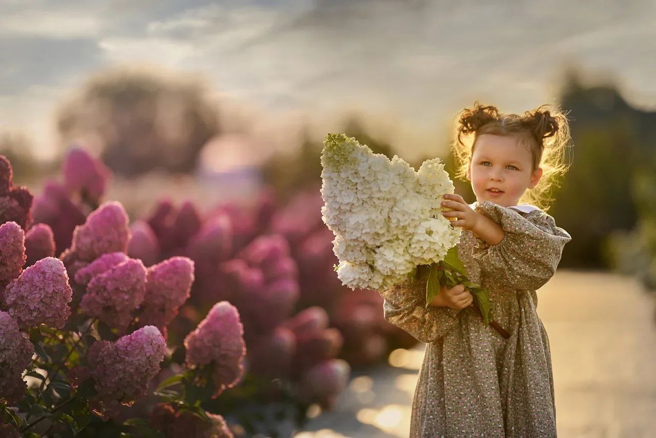 Испытание бессилием Испытание бессилием