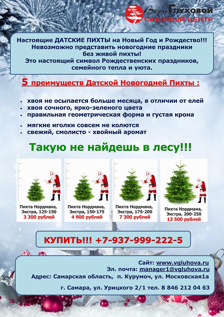 Купить "Датские пихты" к Новому году Купить "Датские пихты" к Новому году
