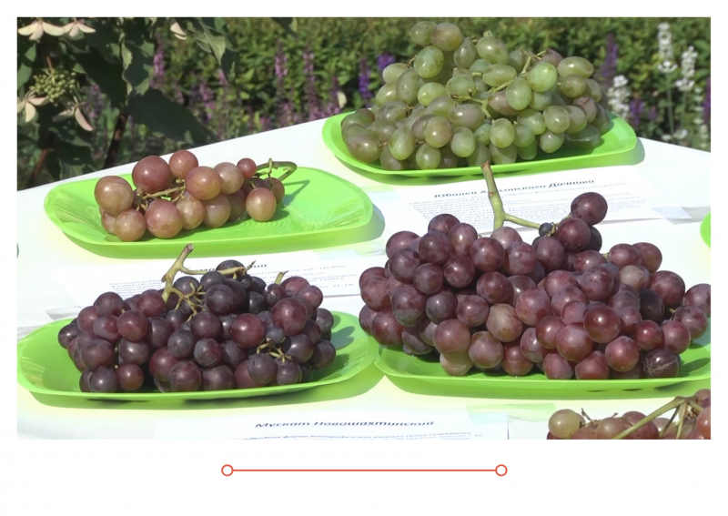 Новый выпуск "Дачные советы" от 26.08.2021