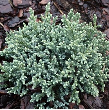 Основное изображение товара