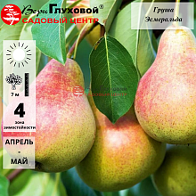 Основное изображение товара