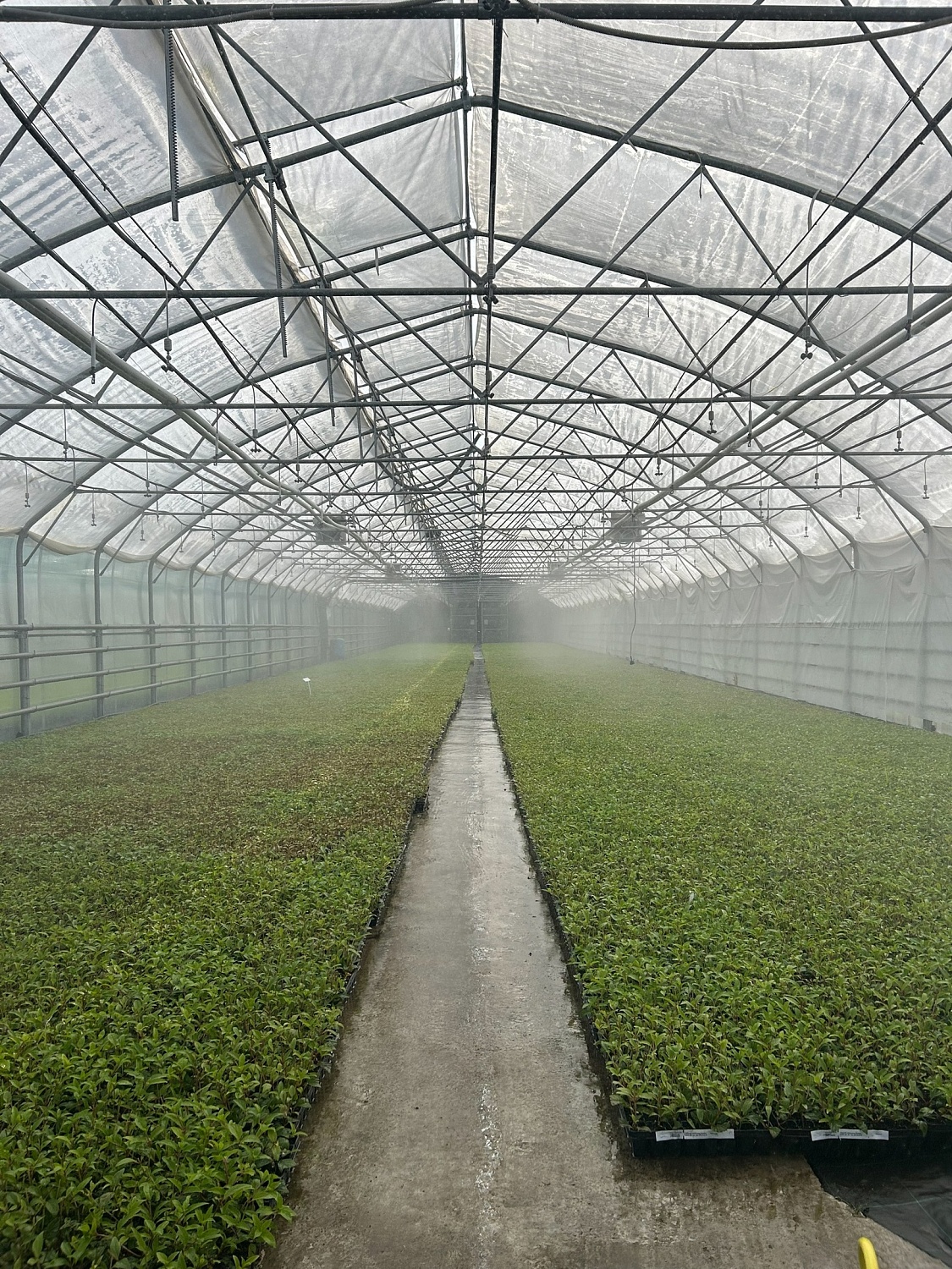 Будни питомника