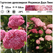 Основное изображение товара