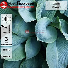 Основное изображение товара