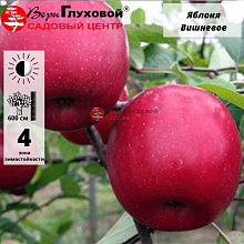 Рисунок 273.jpg