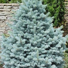 Основное изображение товара