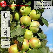 Рисунок 297.jpg