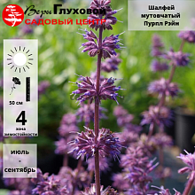 Основное изображение товара