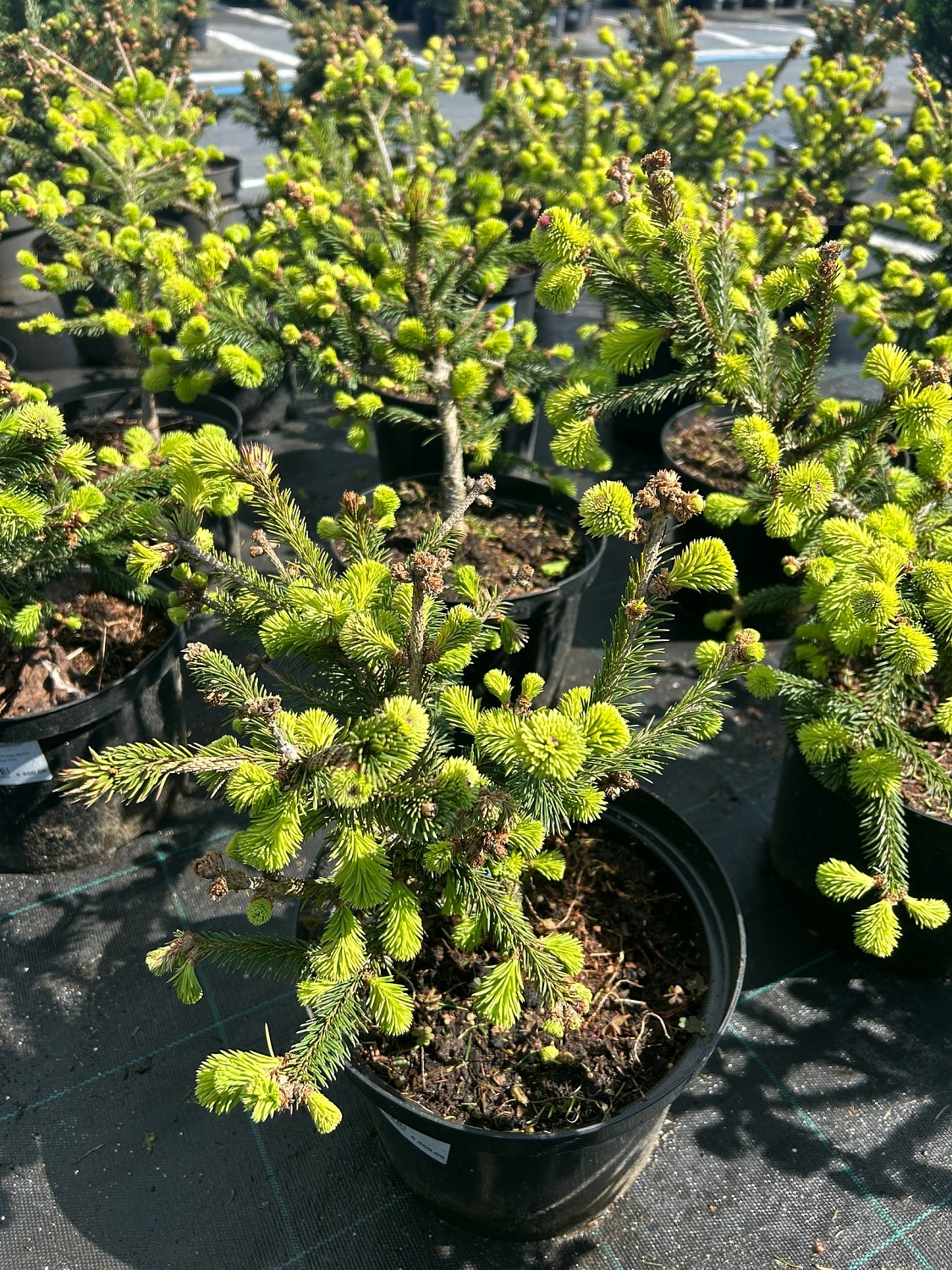 Ваш личный эксклюзив